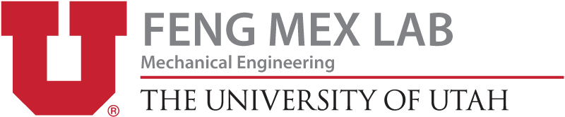 Multiscale Energy Transport, Conversion, and Storage (MEX) Lab Logo